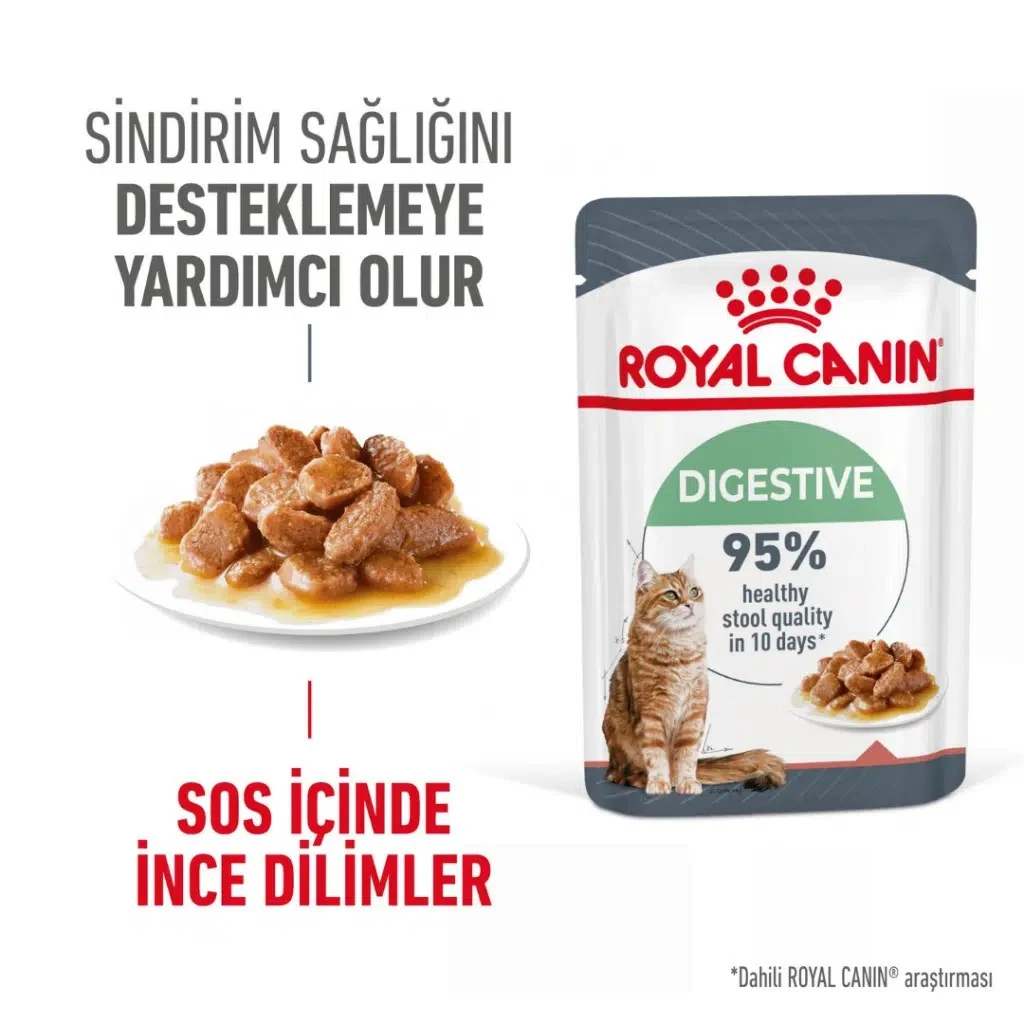 Görsel küçük resim 2