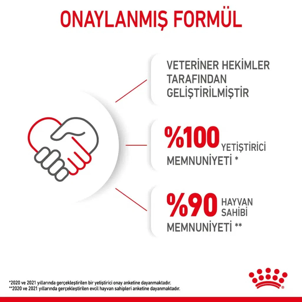 Görsel küçük resim 3