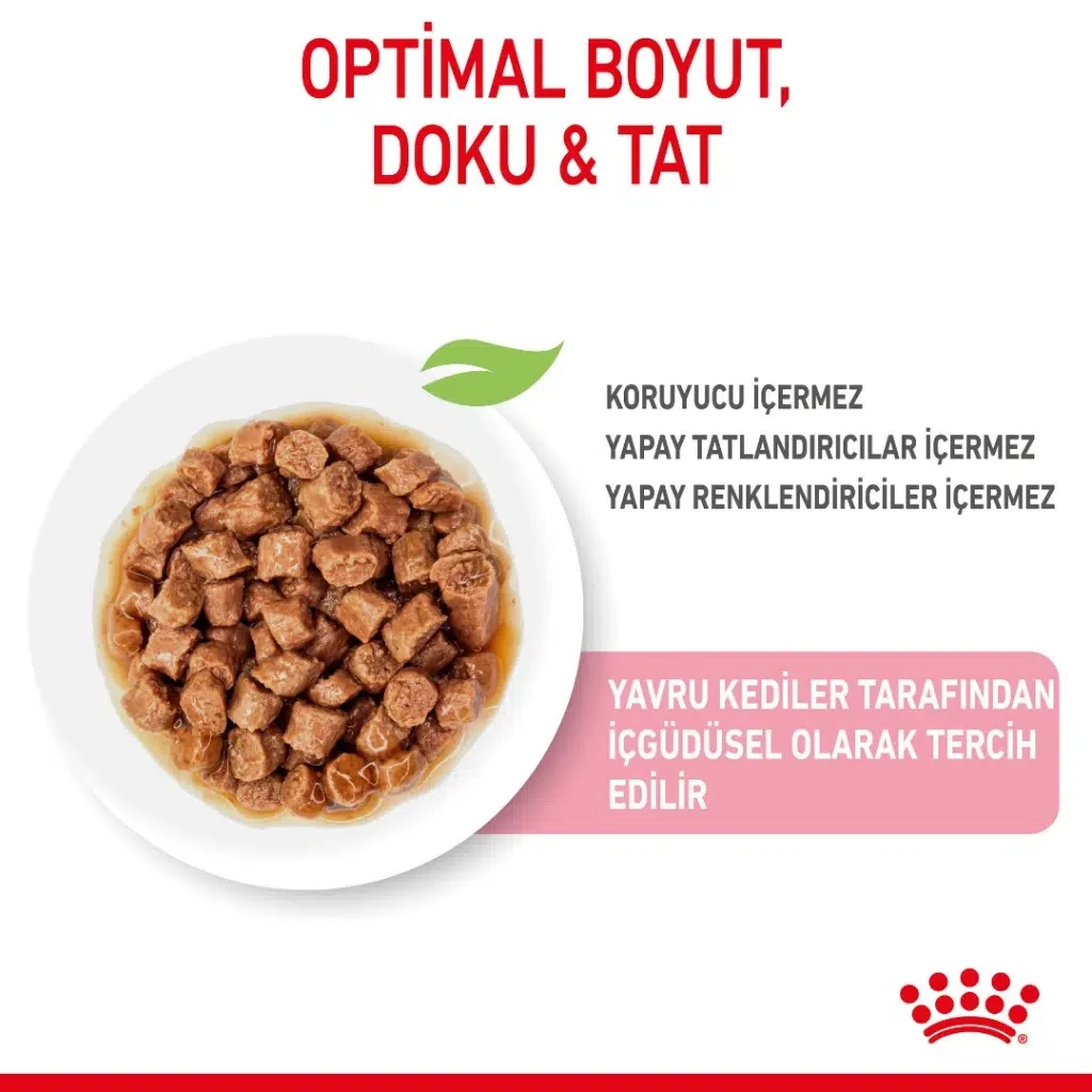 Görsel küçük resim 2