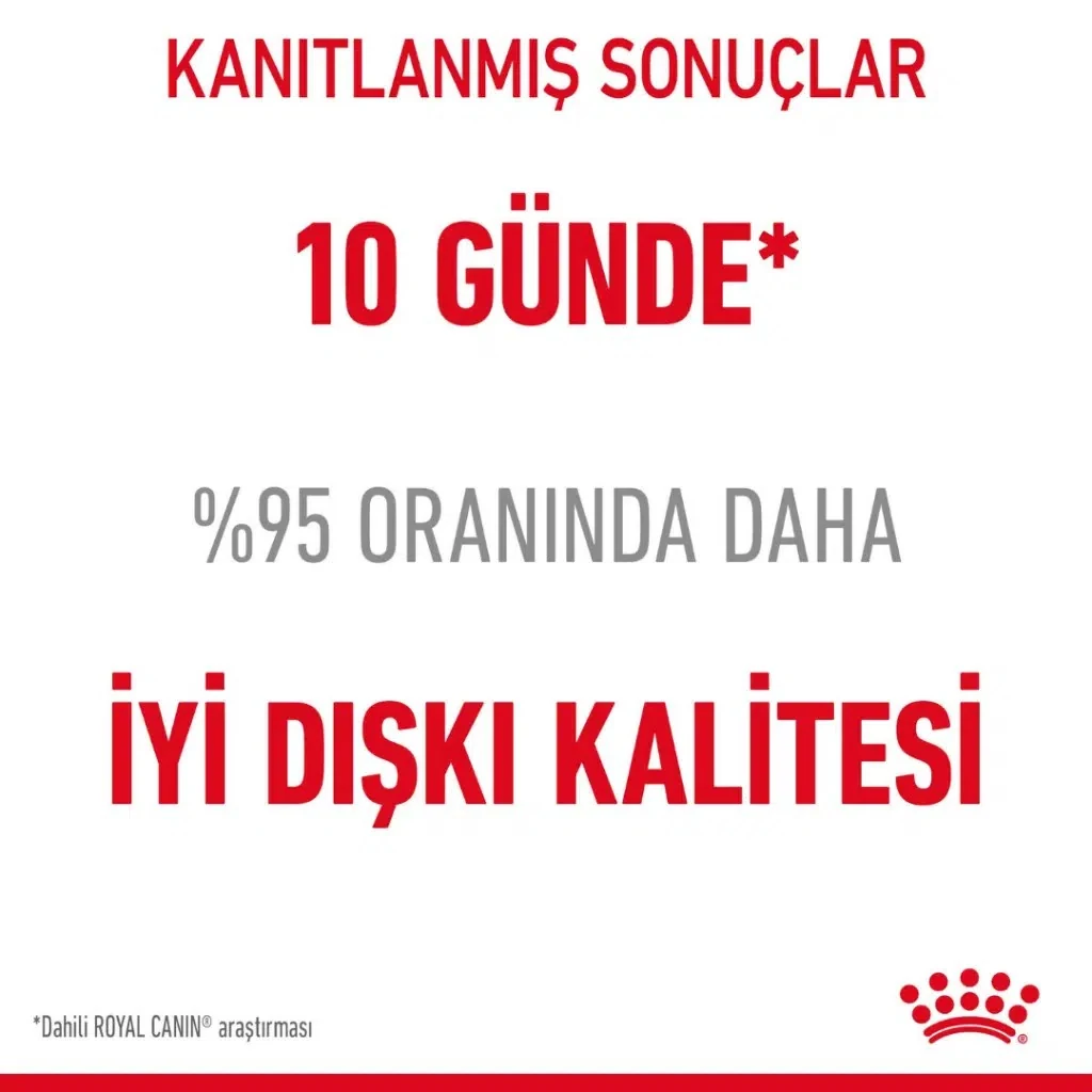 Görsel küçük resim 5