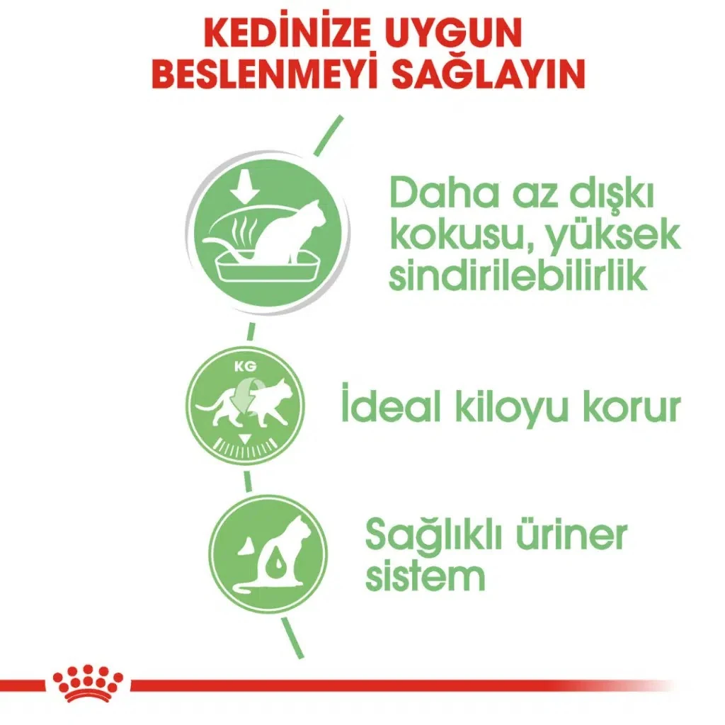 Görsel küçük resim 4