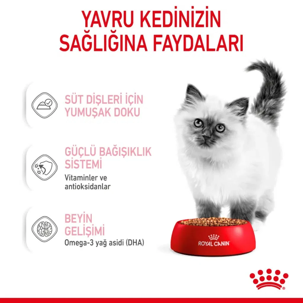 Görsel küçük resim 4