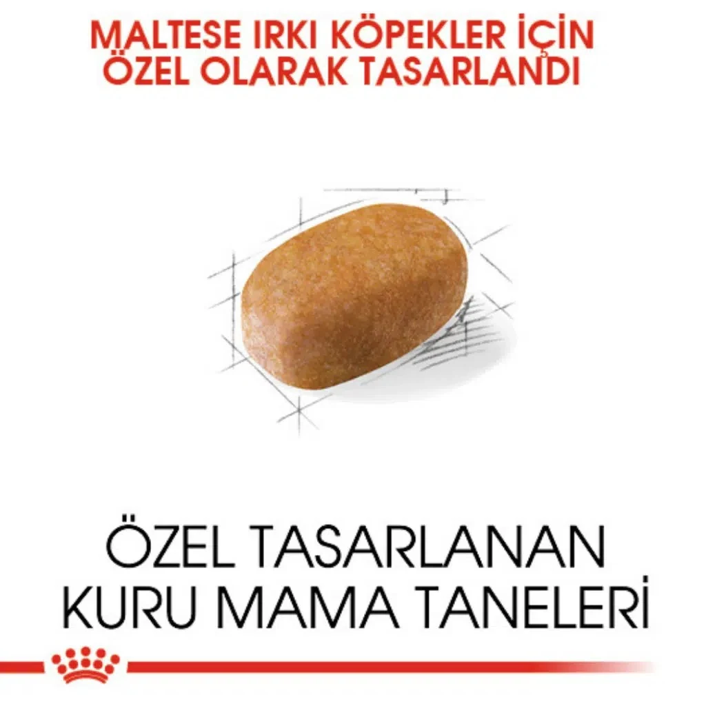Görsel küçük resim 3