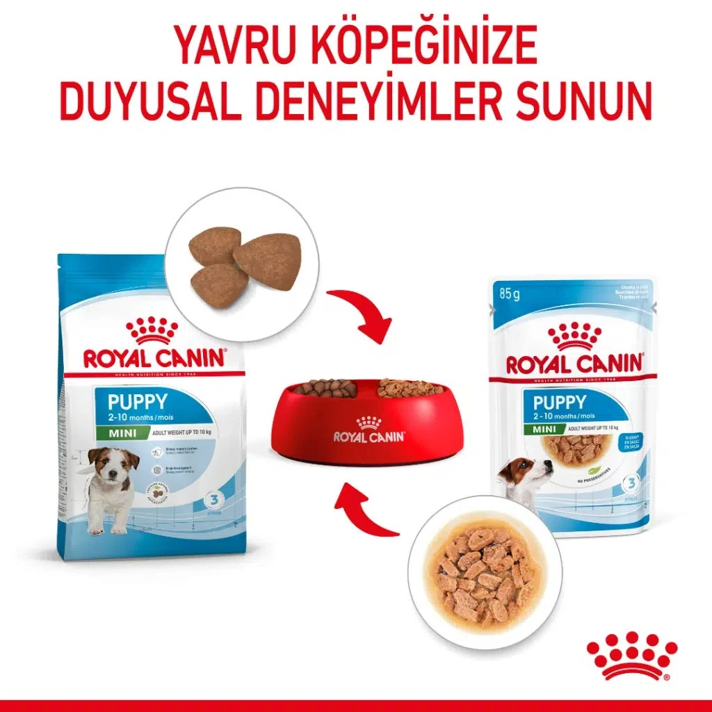 Görsel küçük resim 3