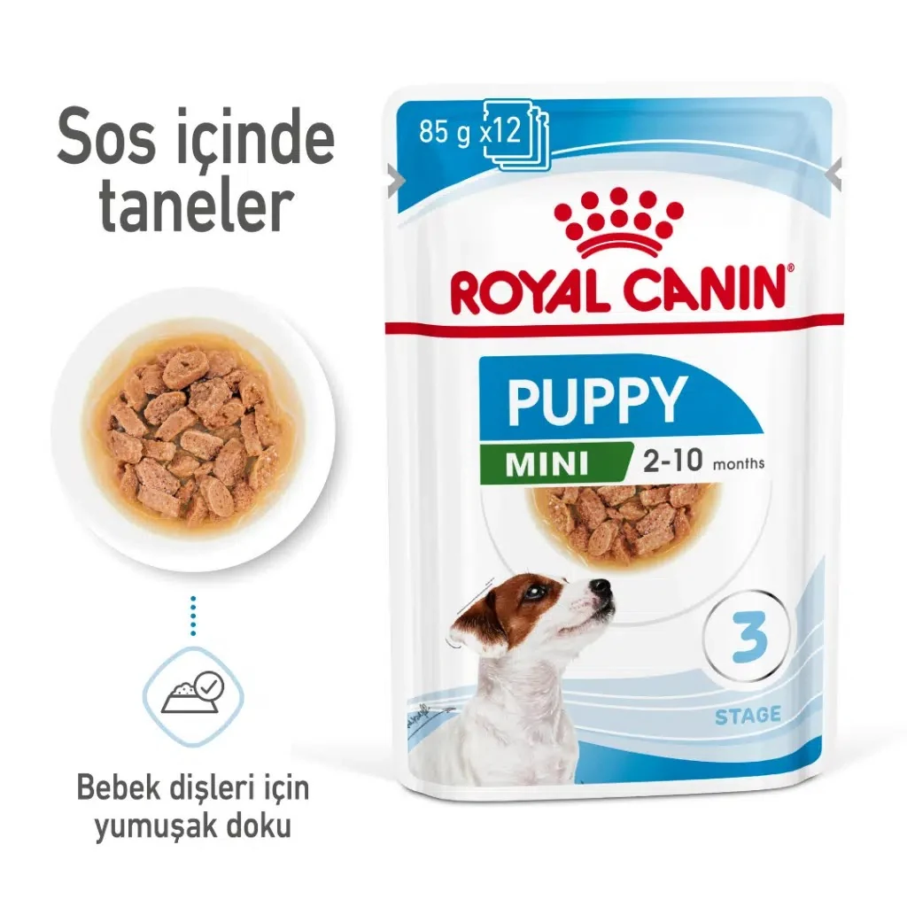 Görsel küçük resim 2