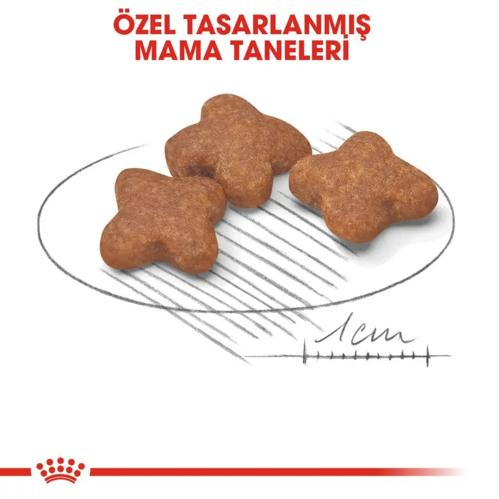 Görsel küçük resim 3