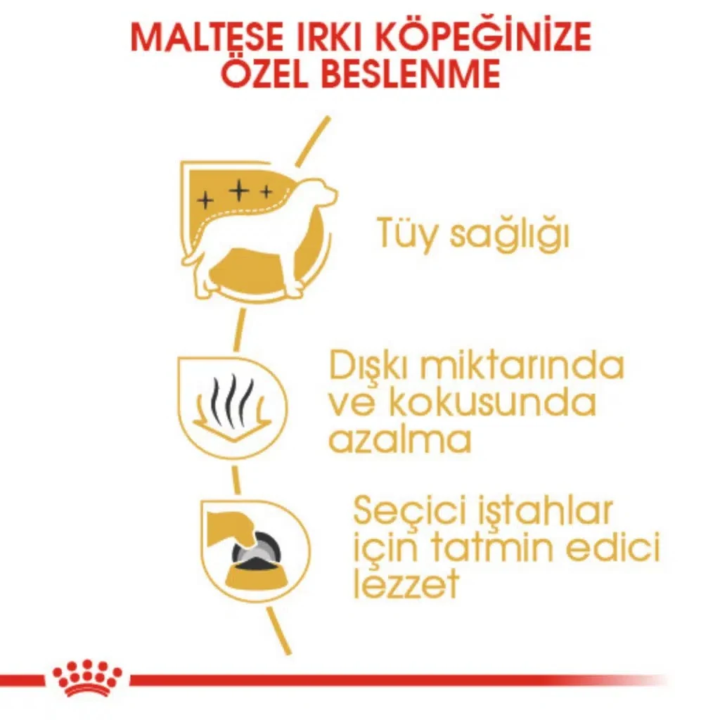 Görsel küçük resim 5