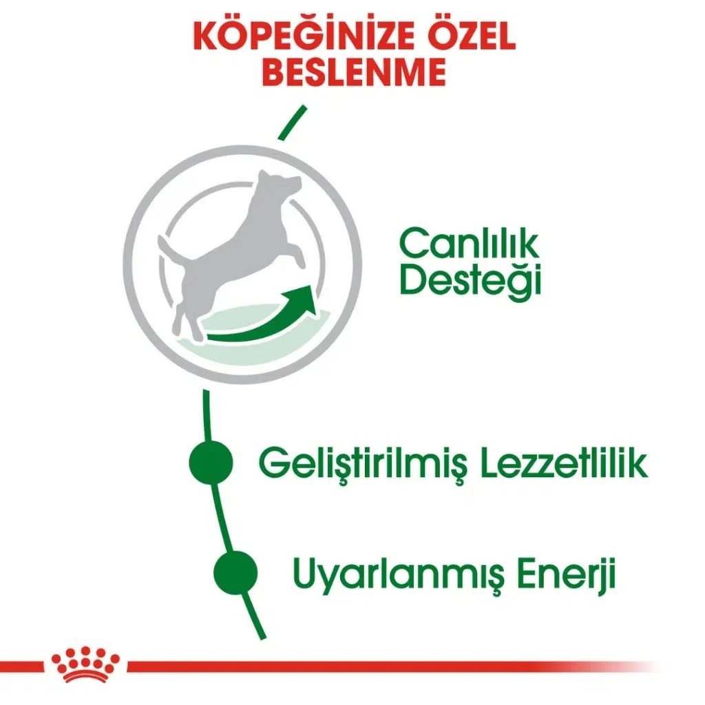 Görsel küçük resim 4