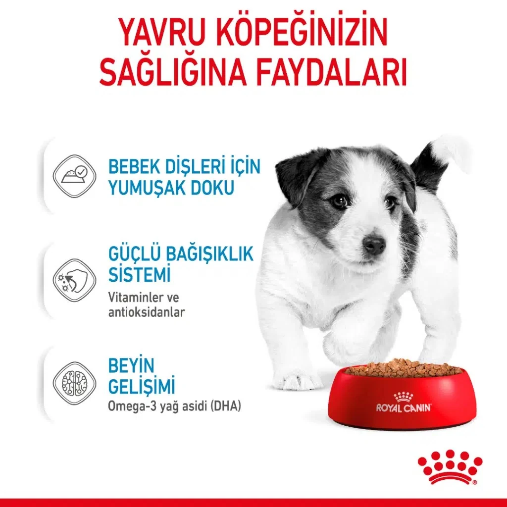 Görsel küçük resim 4