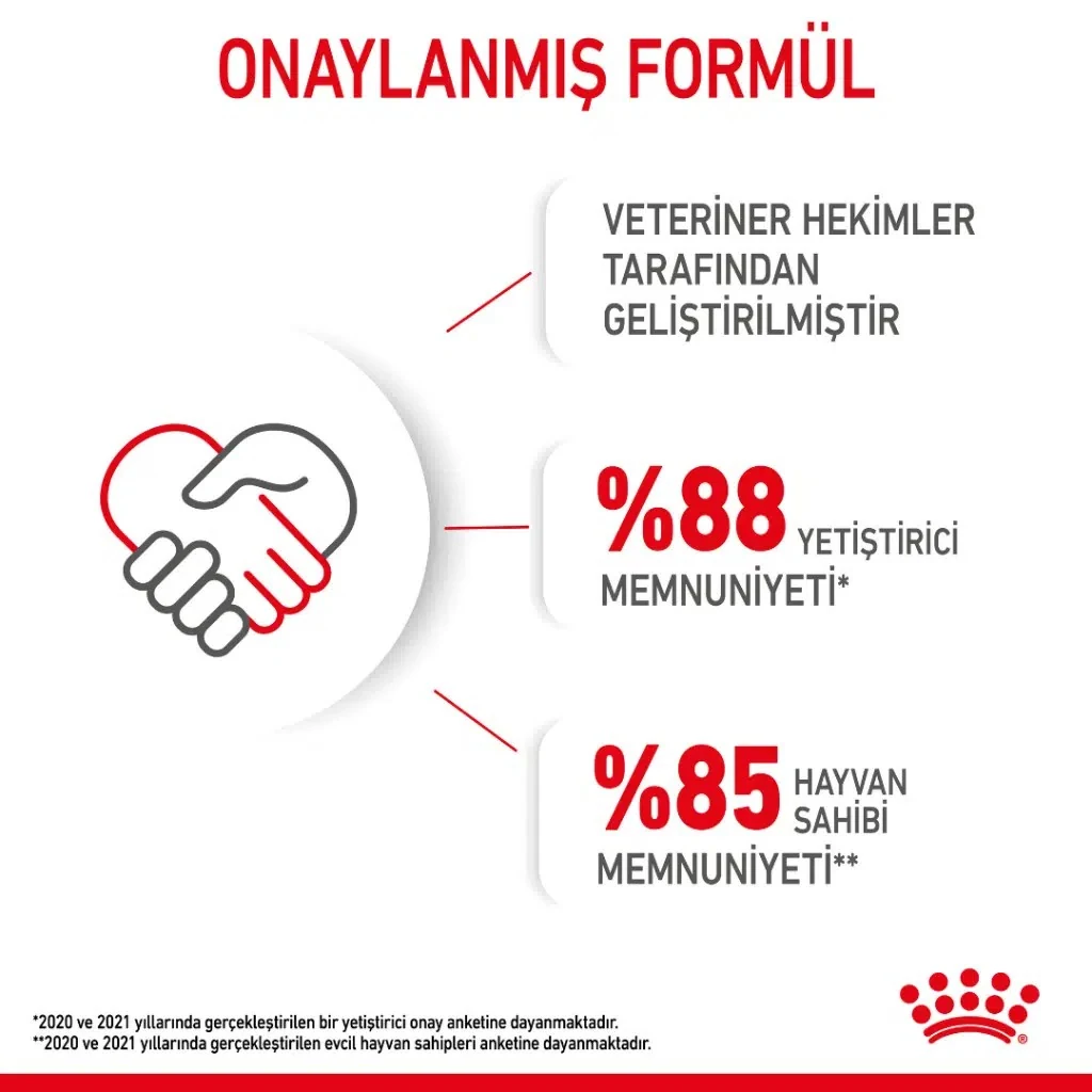 Görsel küçük resim 5