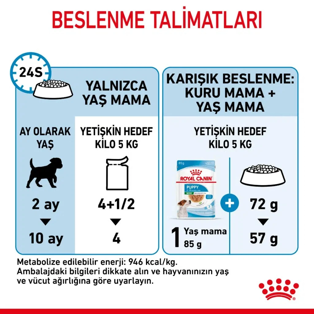 Görsel küçük resim 6