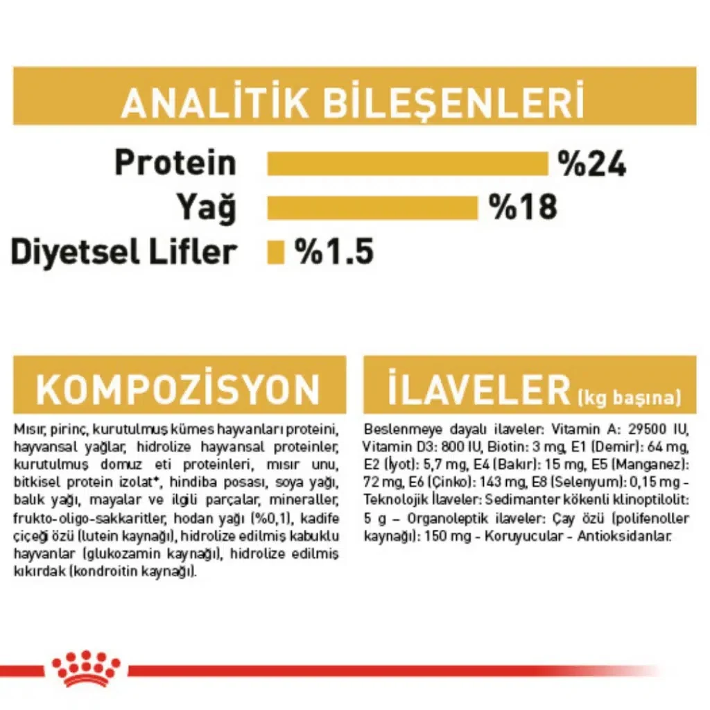 Görsel küçük resim 7