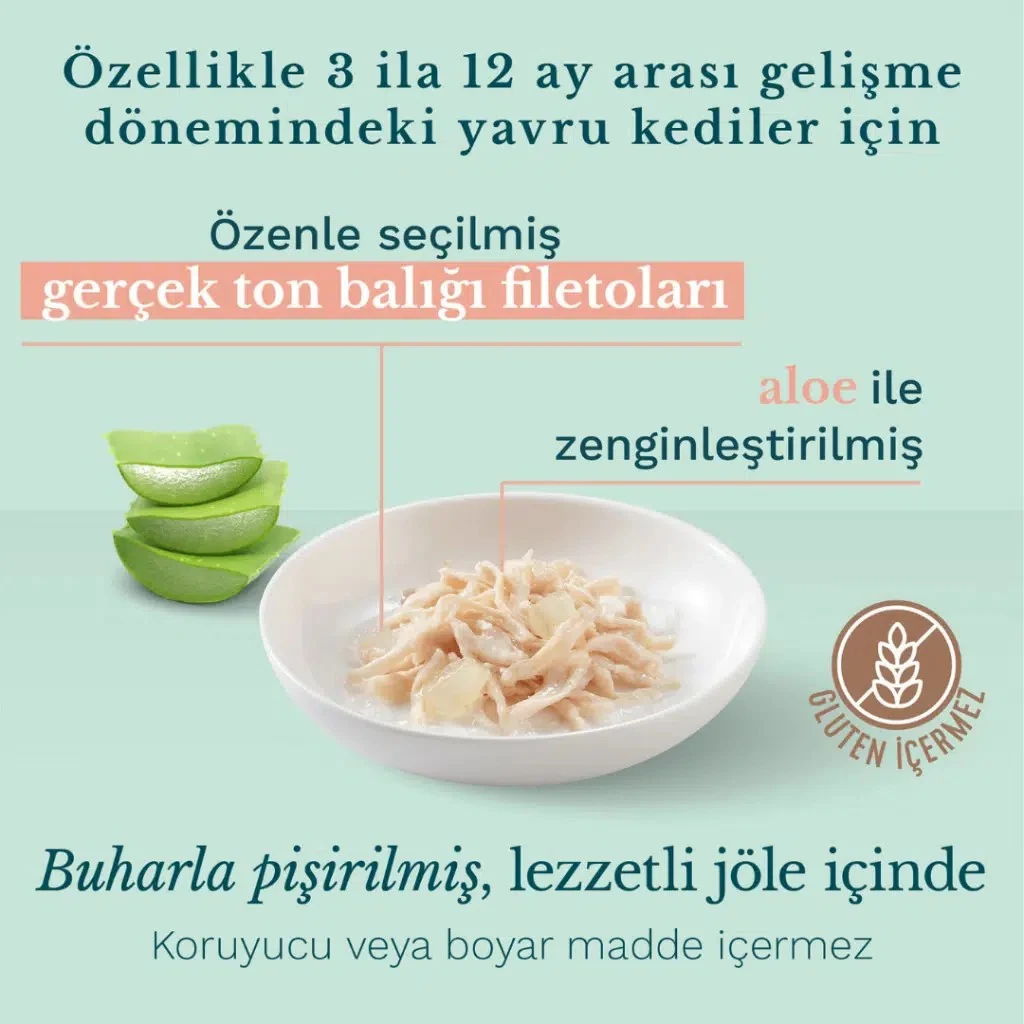 Görsel küçük resim 2
