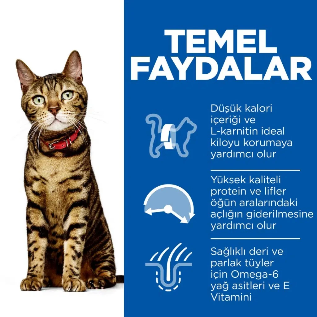 Görsel küçük resim 5