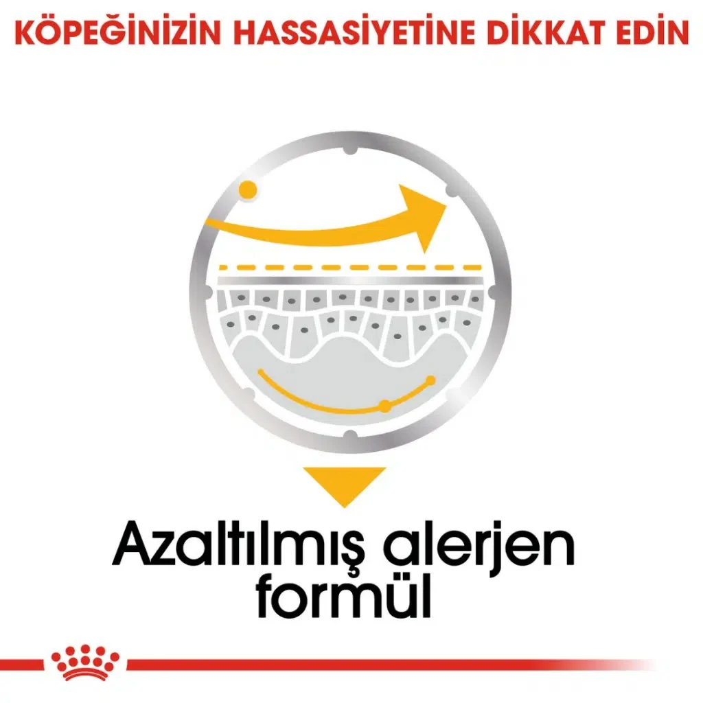 Görsel küçük resim 4