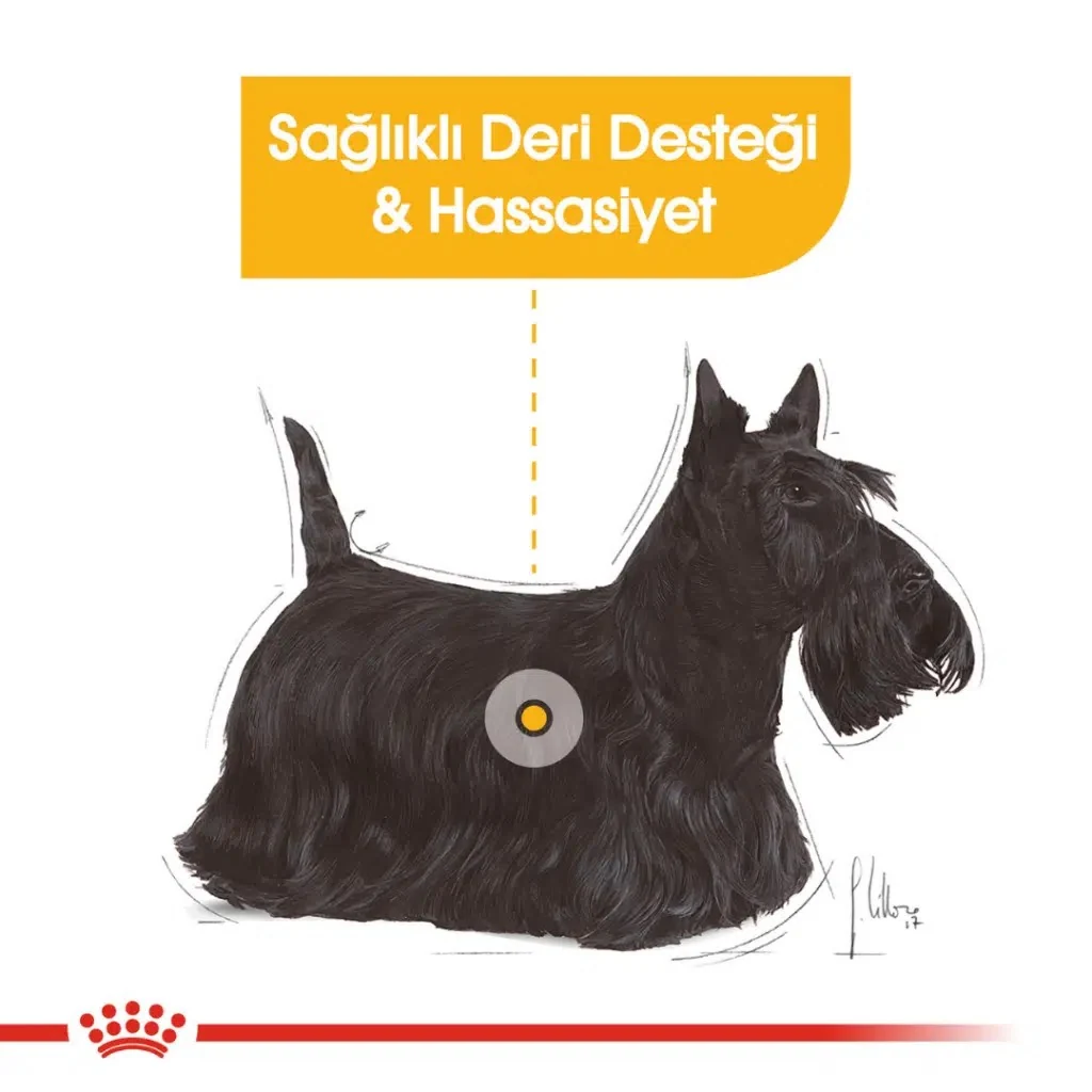Görsel küçük resim 5
