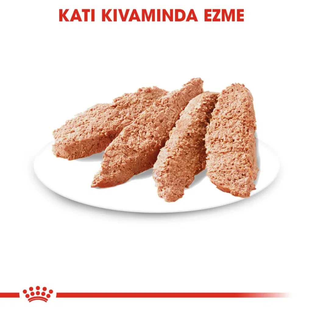 Görsel küçük resim 3