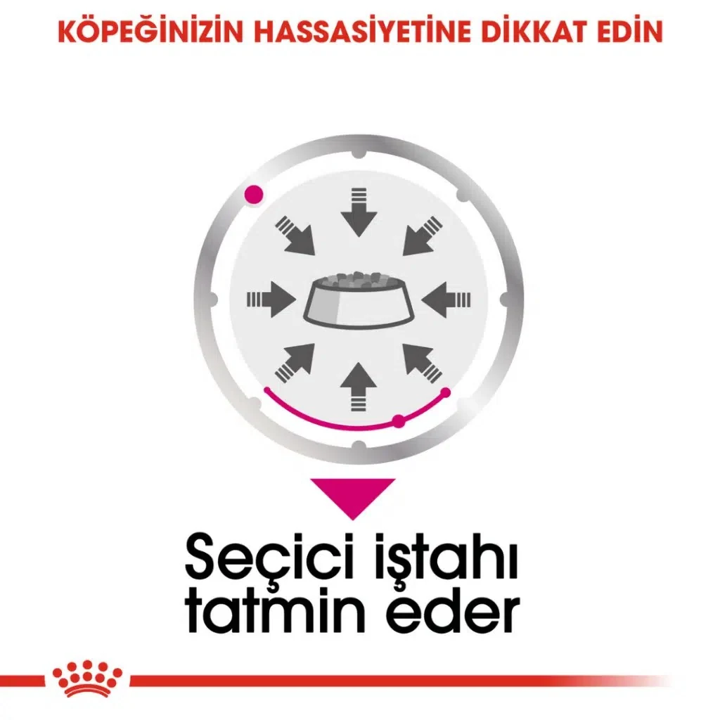 Görsel küçük resim 4