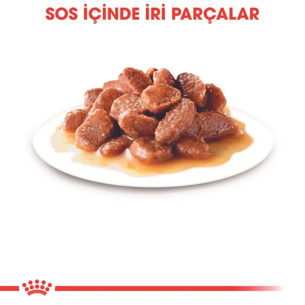 Görsel küçük resim 3