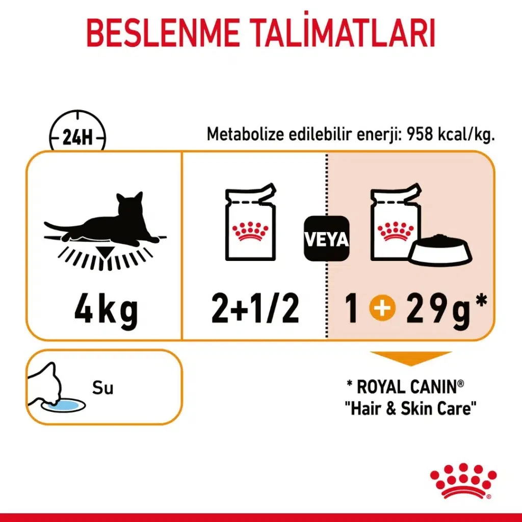 Görsel küçük resim 6