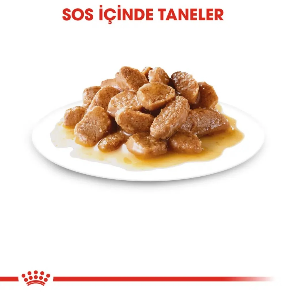 Görsel küçük resim 3