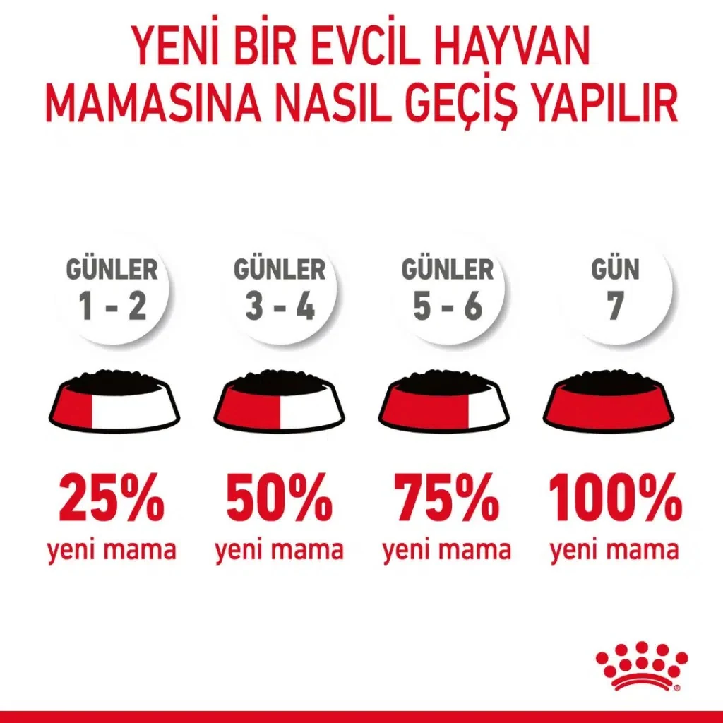 Görsel küçük resim 8