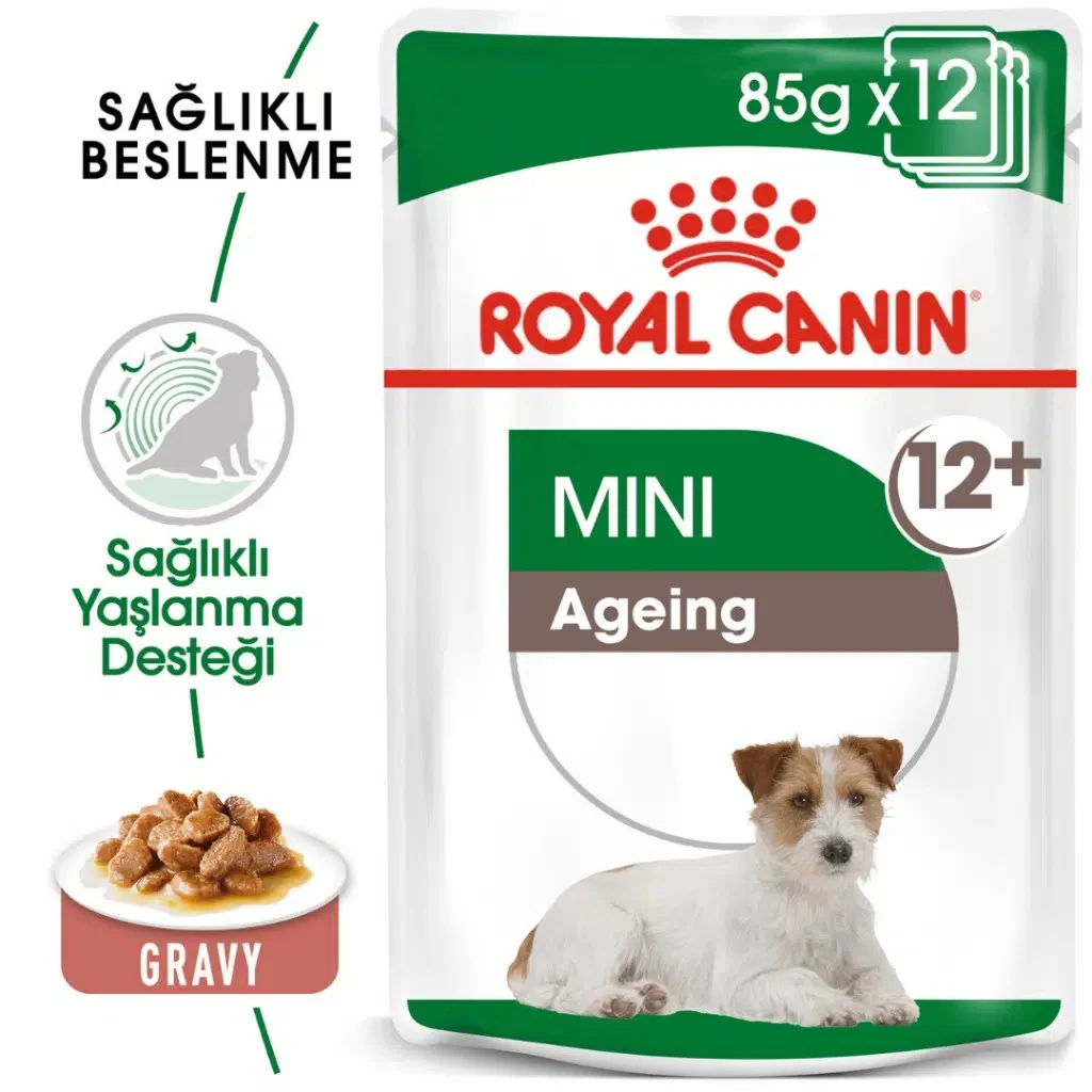 Görsel küçük resim 2