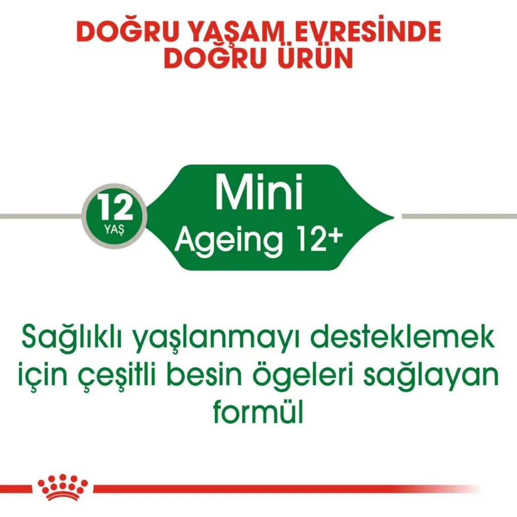 Görsel küçük resim 4