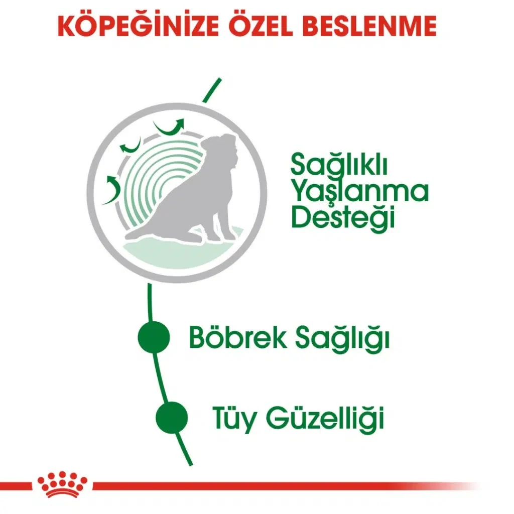 Görsel küçük resim 5