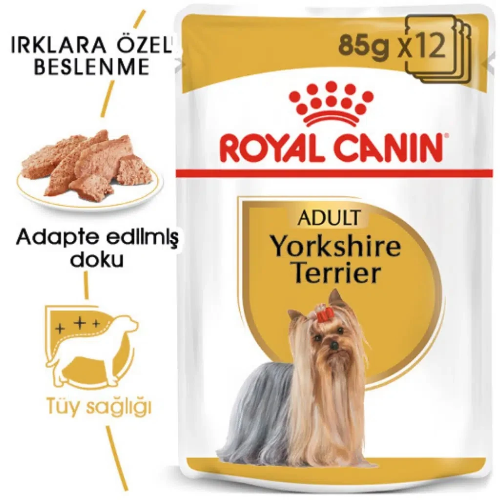 Görsel küçük resim 2