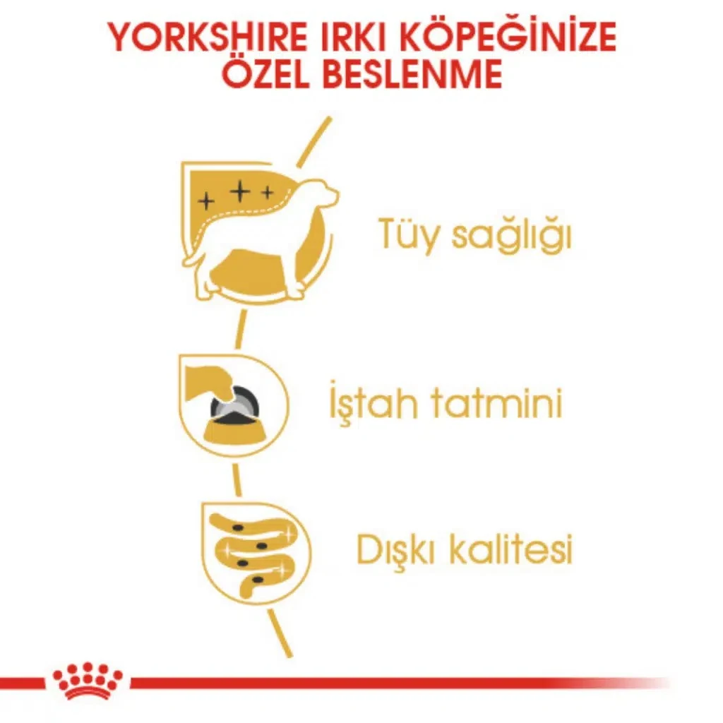 Görsel küçük resim 4