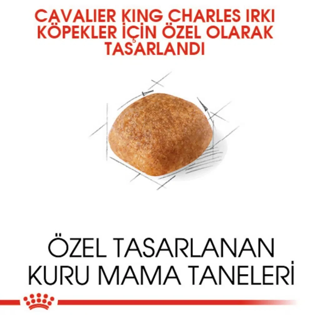 Görsel küçük resim 3
