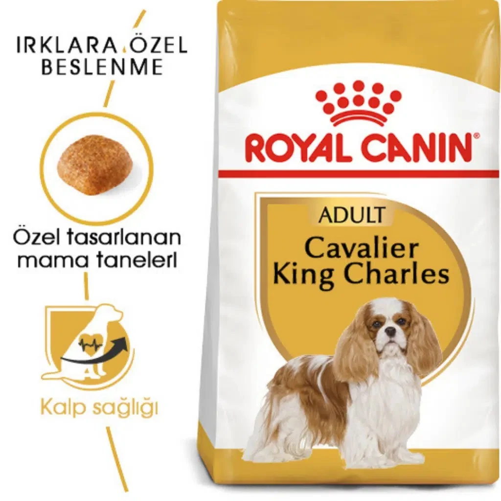 Görsel küçük resim 2