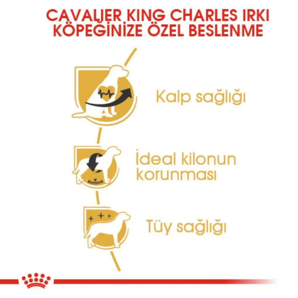 Görsel küçük resim 4
