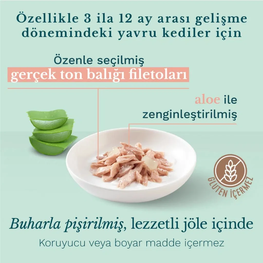 Görsel küçük resim 2