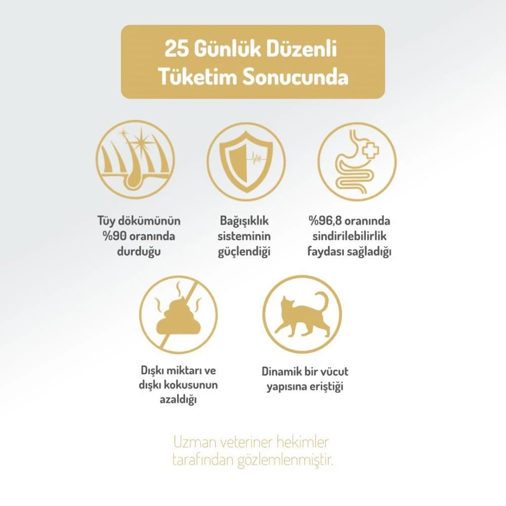 Görsel küçük resim 5