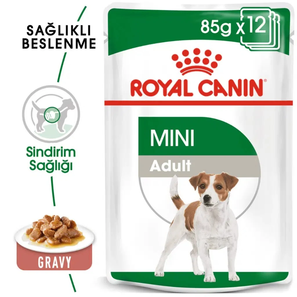 Görsel küçük resim 2