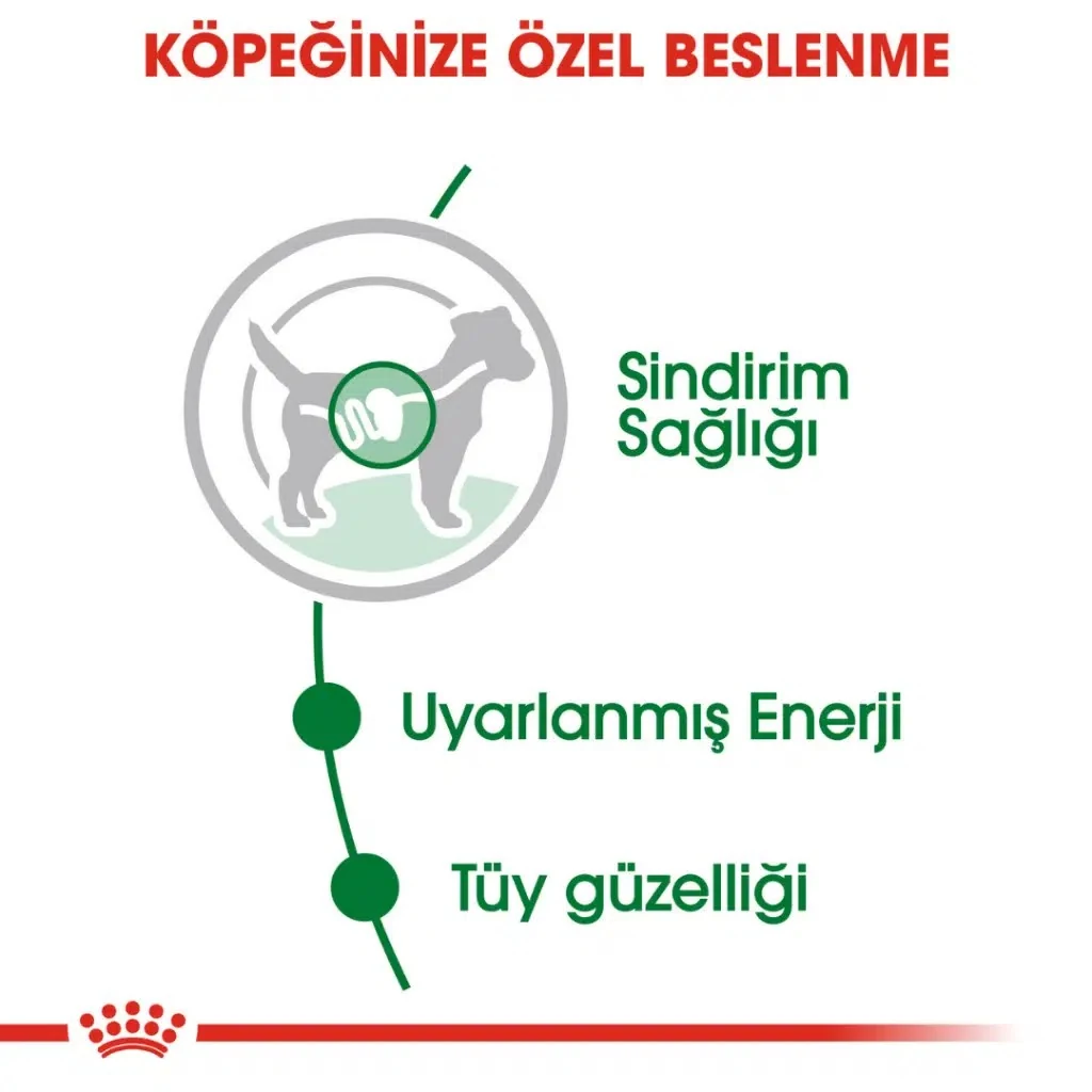 Görsel küçük resim 5