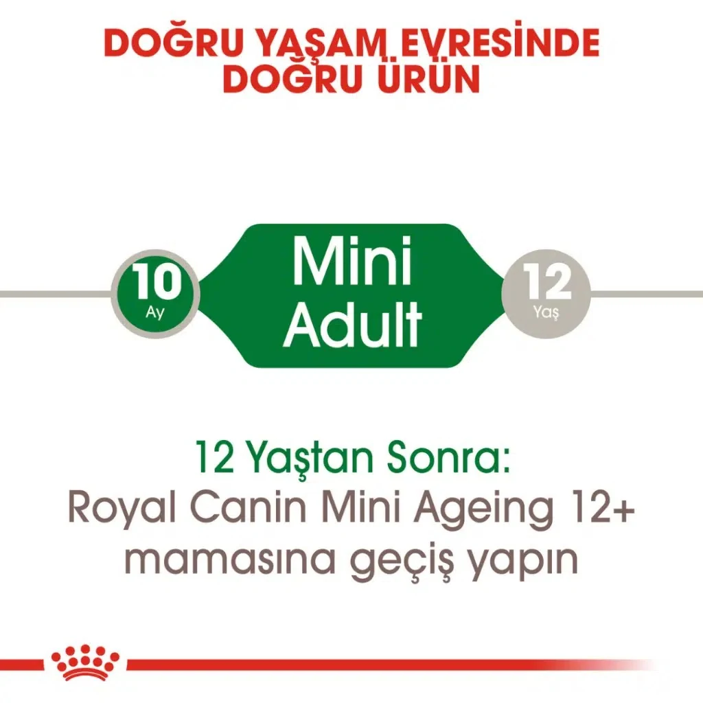 Görsel küçük resim 4