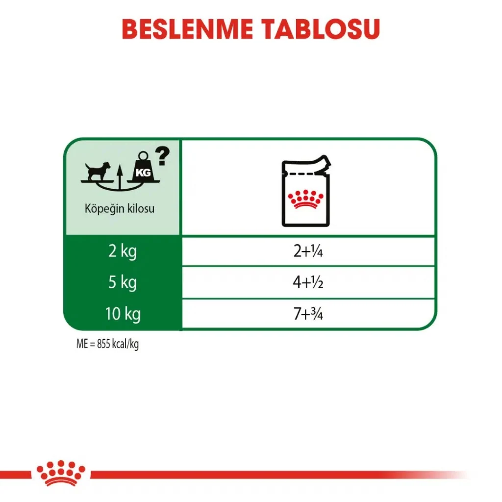 Görsel küçük resim 6