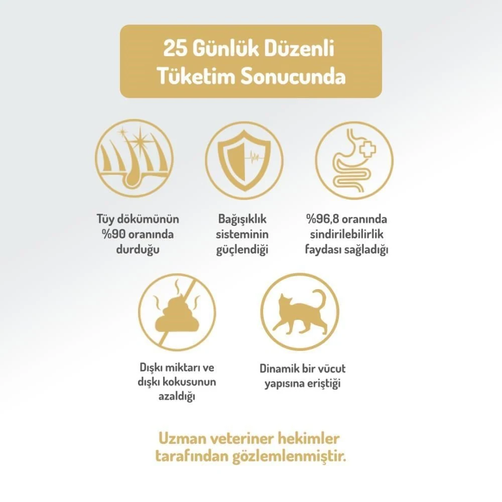 Görsel küçük resim 5