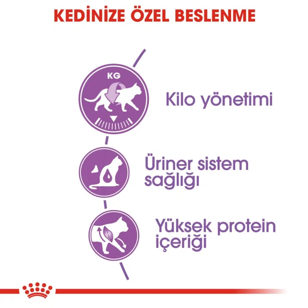 Görsel küçük resim 5