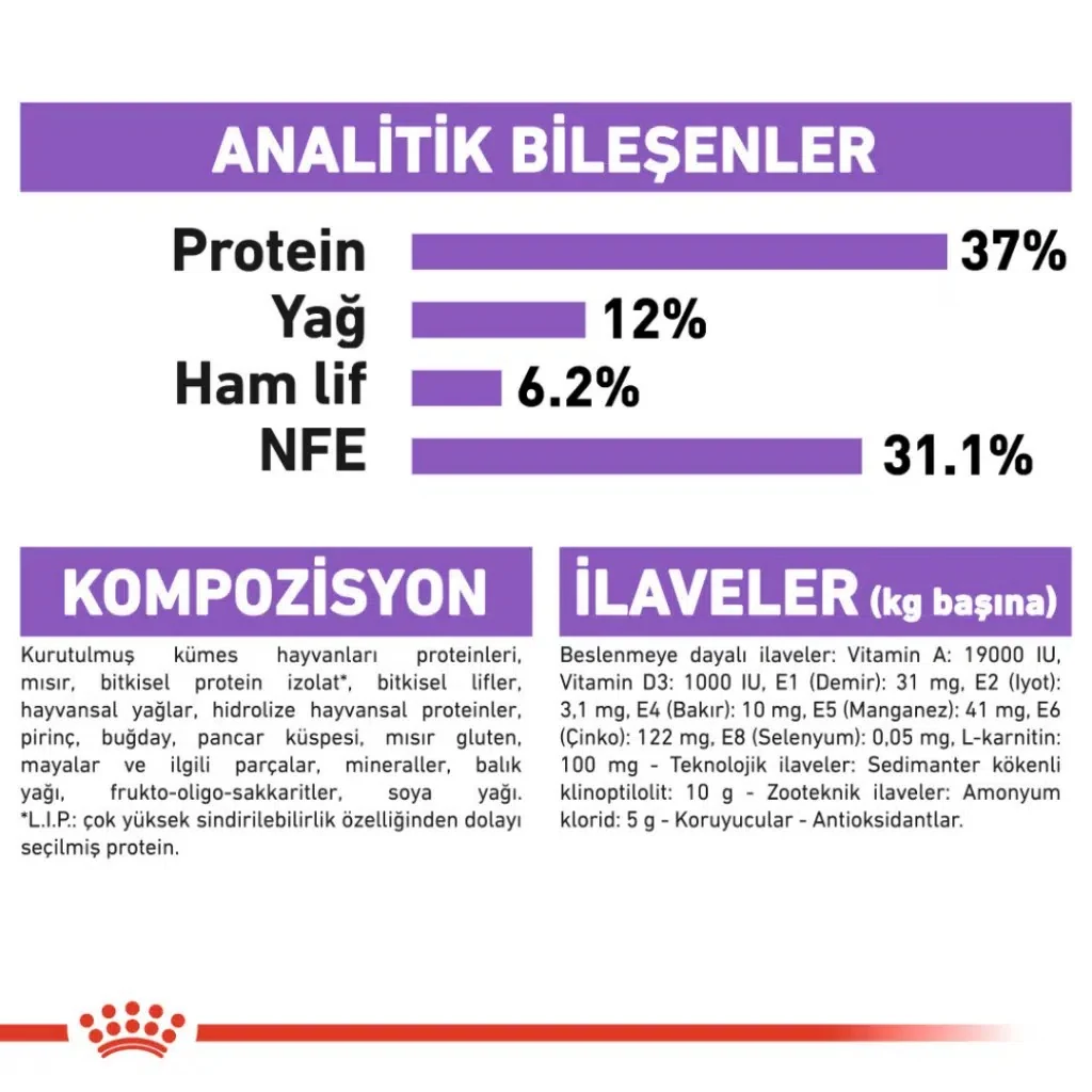 Görsel küçük resim 7