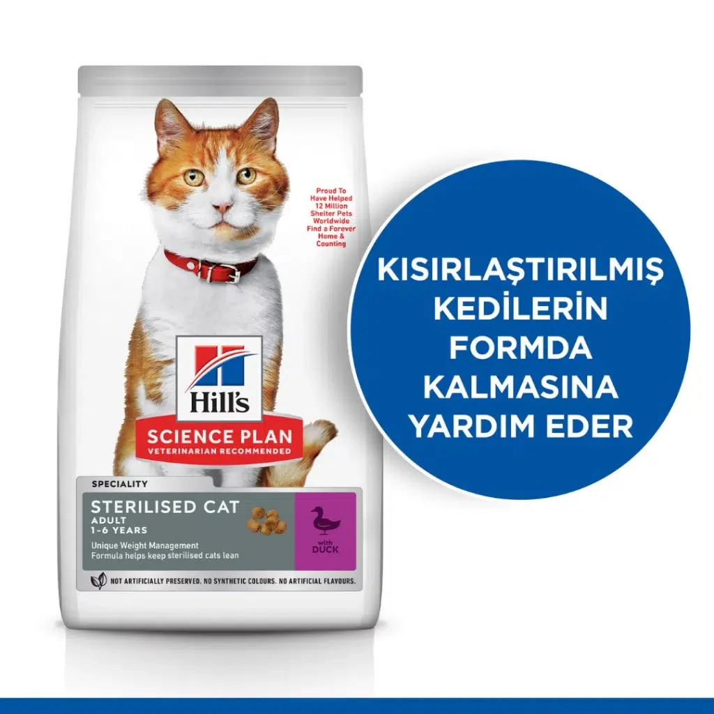 Görsel küçük resim 3
