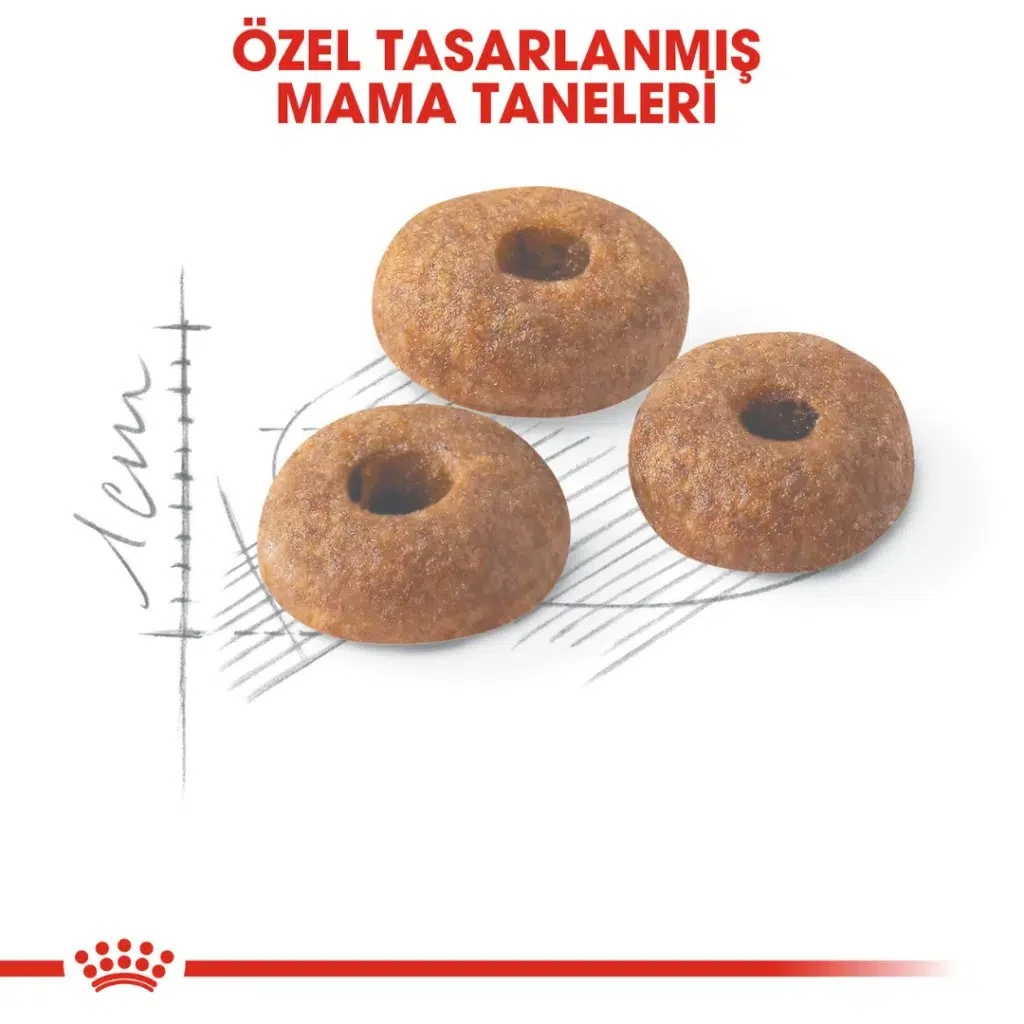 Görsel küçük resim 3