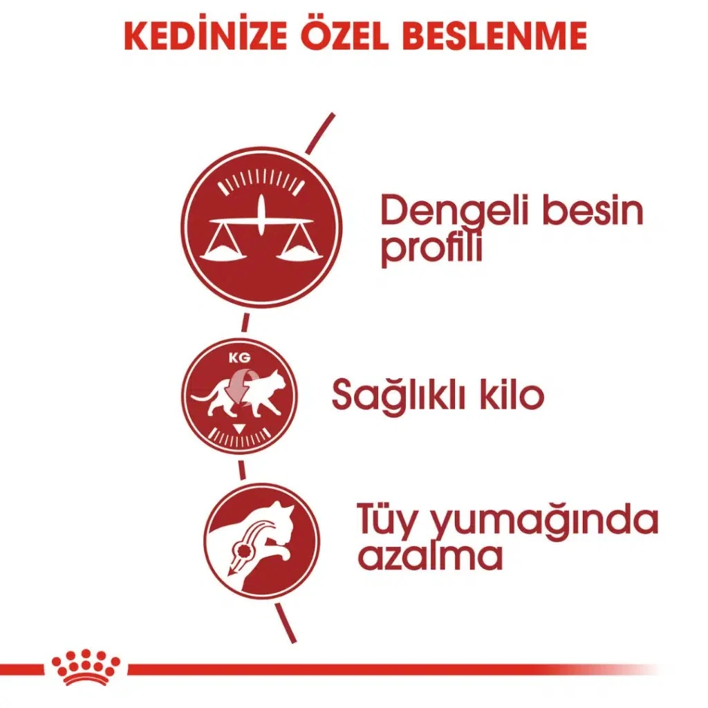 Görsel küçük resim 4
