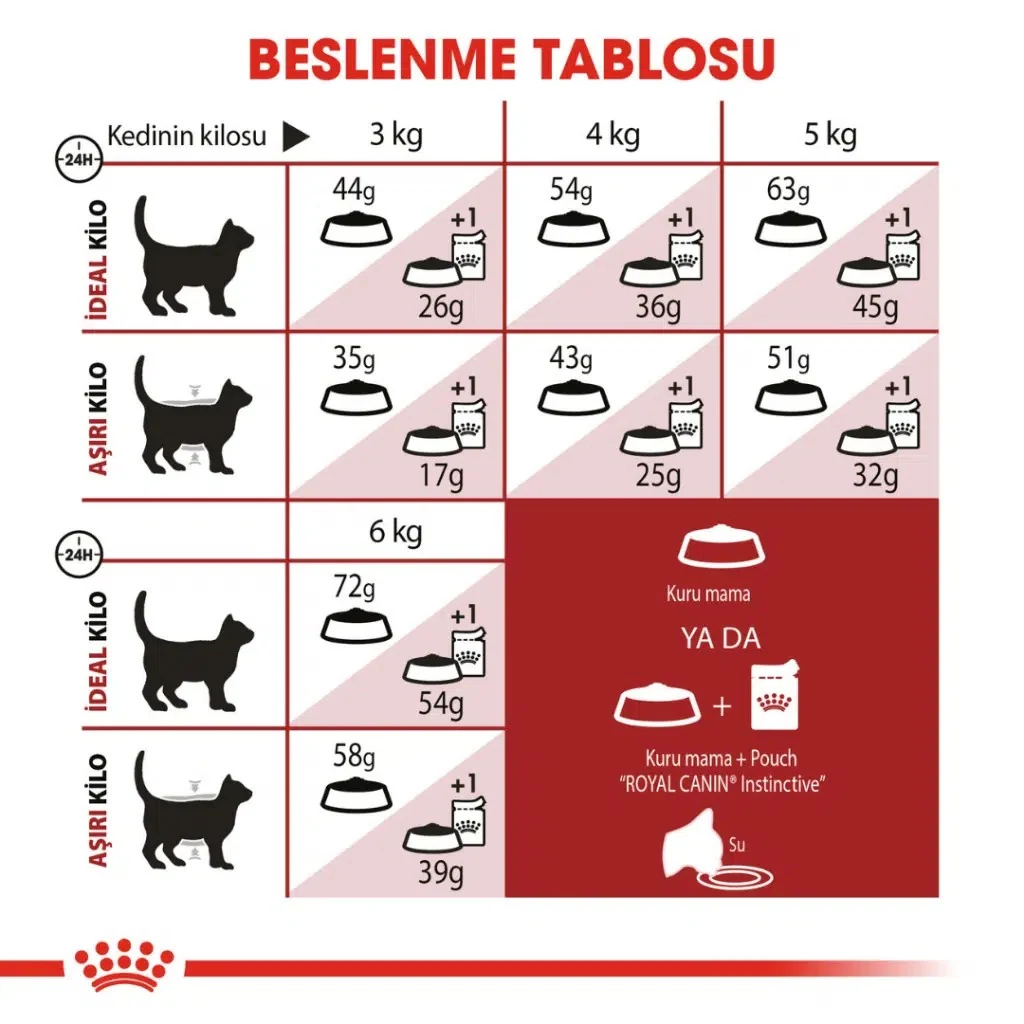 Görsel küçük resim 5