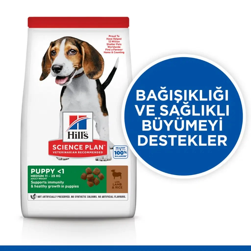 Görsel küçük resim 3