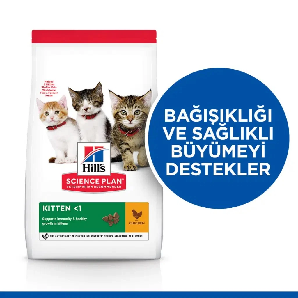 Görsel küçük resim 3