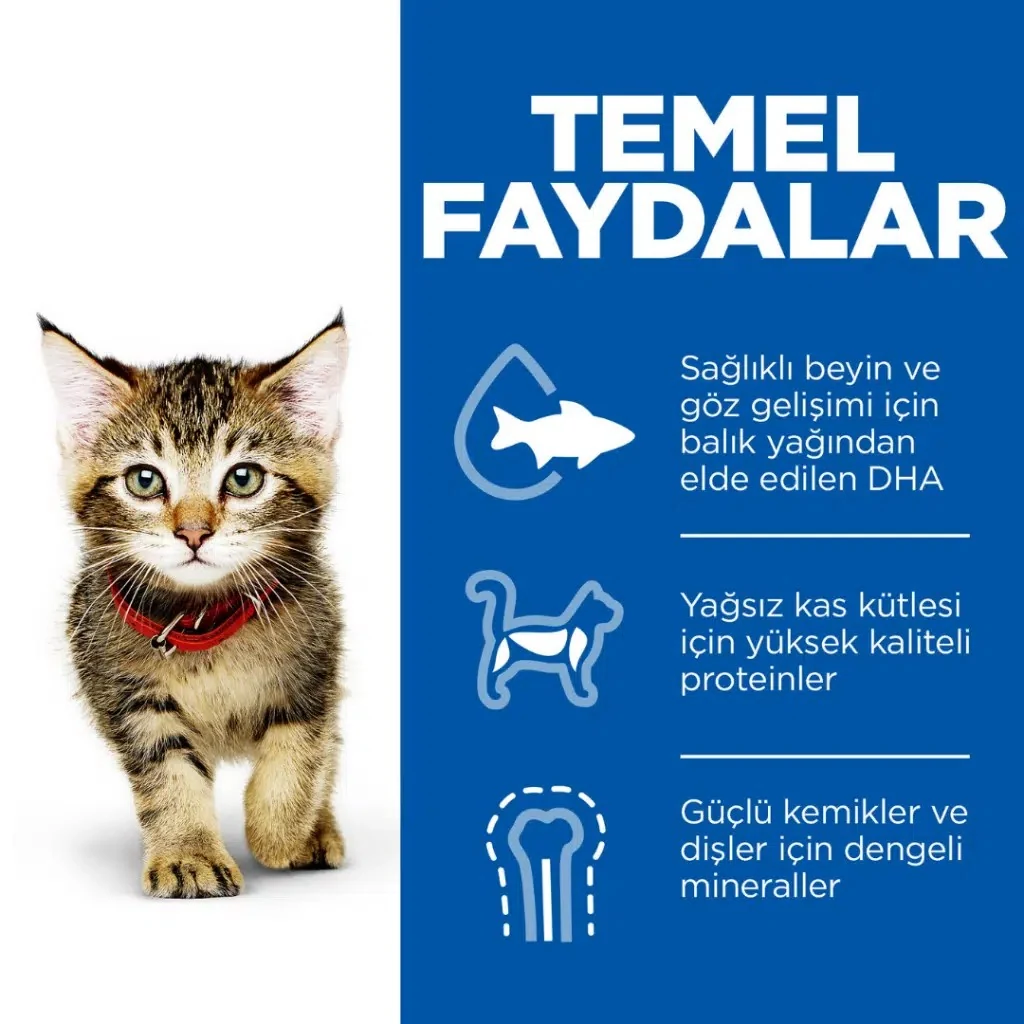 Görsel küçük resim 4